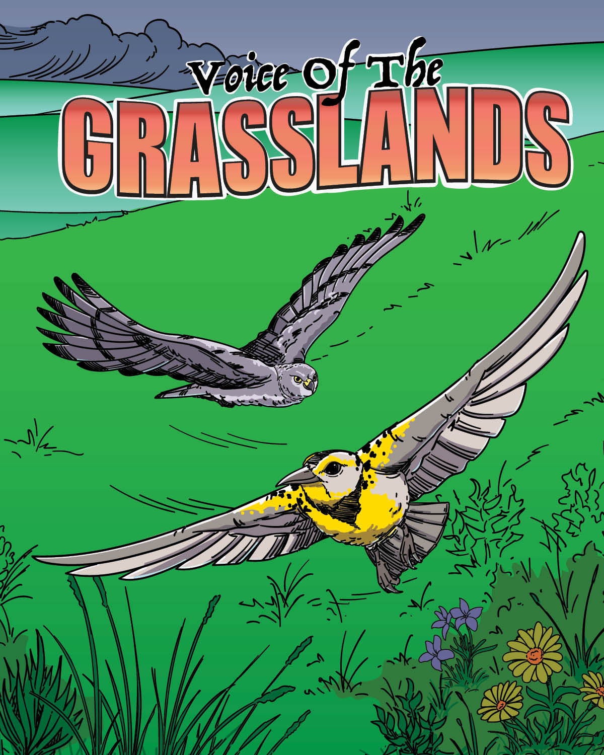 Audubon Rockies Cover