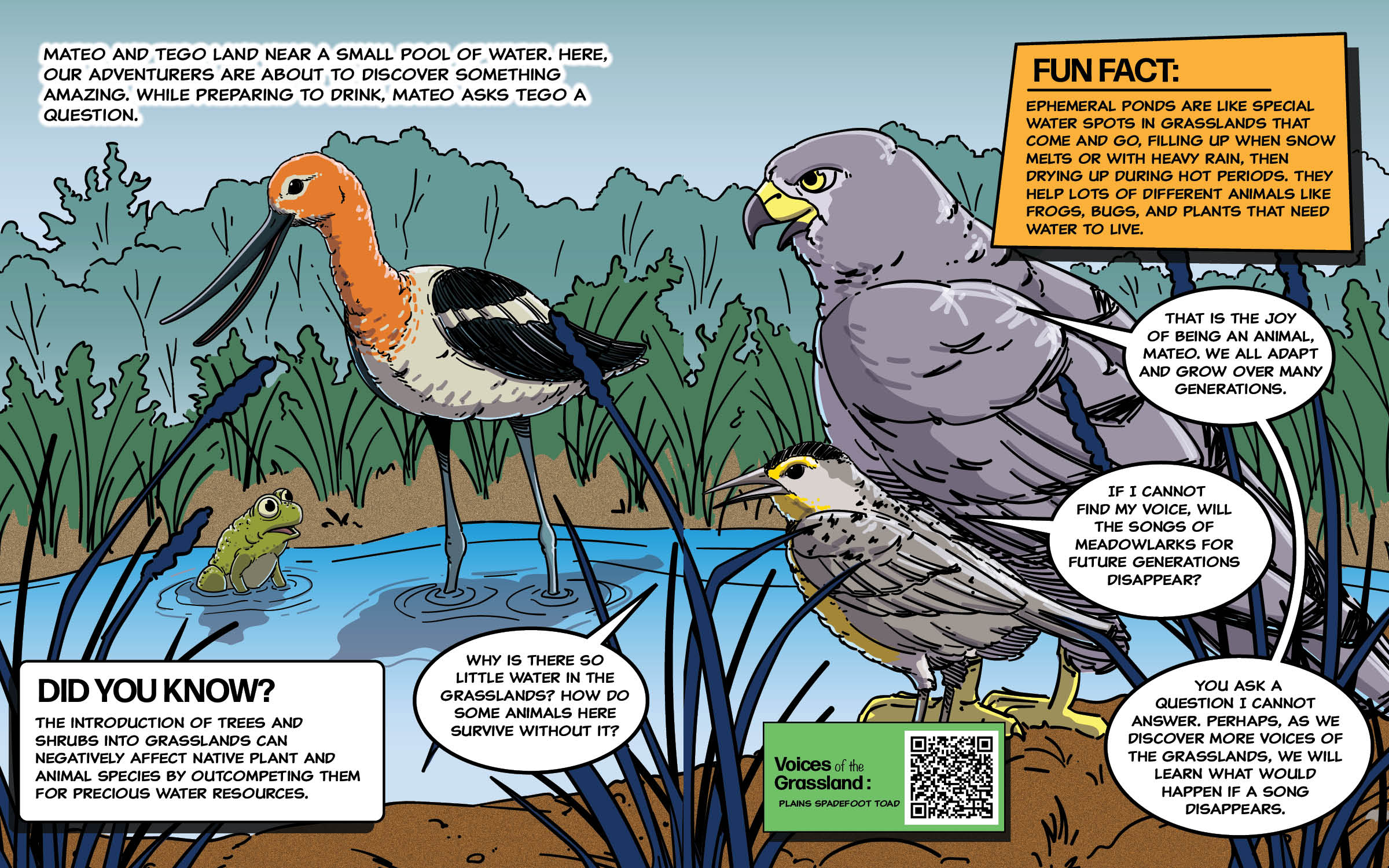 Audubon Rockie children's book Page 8